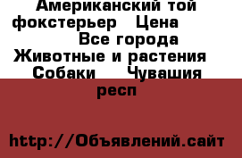 Американский той фокстерьер › Цена ­ 25 000 - Все города Животные и растения » Собаки   . Чувашия респ.